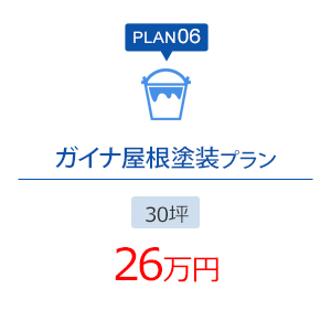 PLAN06 ガイナ屋根塗装プラン 30坪 26万円